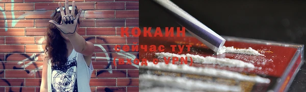 молекула духа Губаха