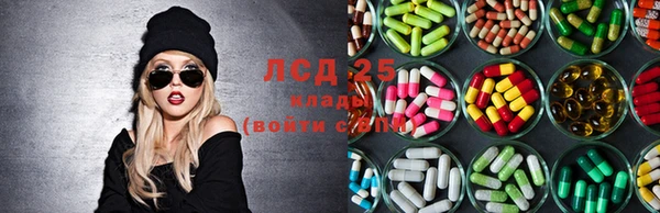 гашик Грязи
