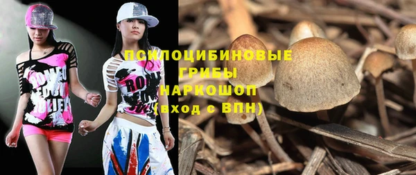 хмурый Магадан