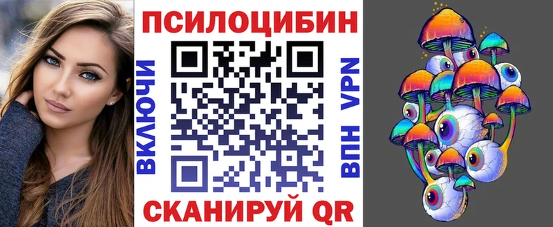 где купить наркоту  Лебедянь  Псилоцибиновые грибы мицелий 